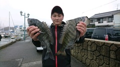 まこと渡船 釣果