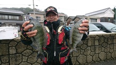 まこと渡船 釣果