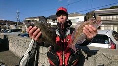 まこと渡船 釣果