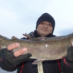 フィッシングレイクたかみや 釣果