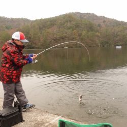 フィッシングレイクたかみや 釣果
