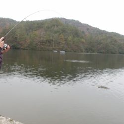 フィッシングレイクたかみや 釣果