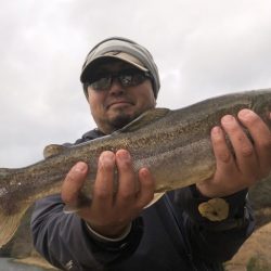 フィッシングレイクたかみや 釣果