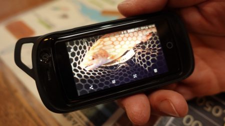 フィッシングレイクたかみや 釣果