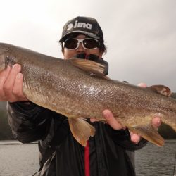 フィッシングレイクたかみや 釣果