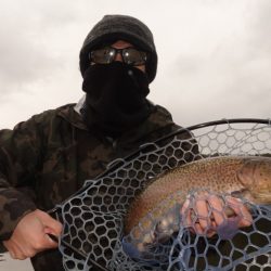 フィッシングレイクたかみや 釣果