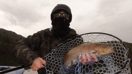 フィッシングレイクたかみや 釣果