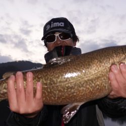 フィッシングレイクたかみや 釣果