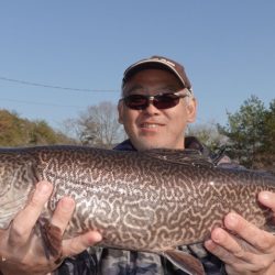 フィッシングレイクたかみや 釣果