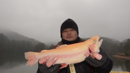 フィッシングレイクたかみや 釣果