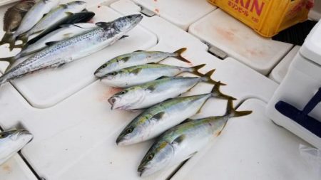 暁〜akatsuki〜 釣果