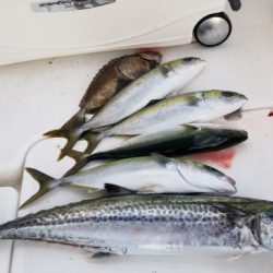 暁〜akatsuki〜 釣果