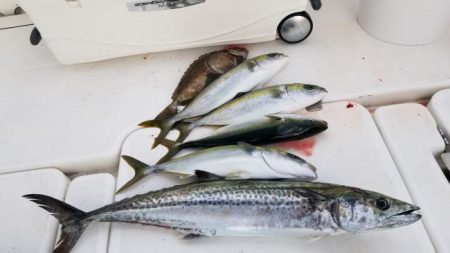 暁〜akatsuki〜 釣果