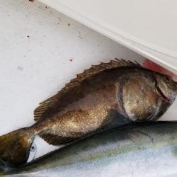 暁〜akatsuki〜 釣果