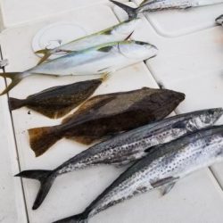 暁〜akatsuki〜 釣果