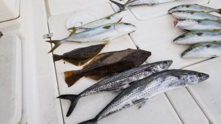 暁〜akatsuki〜 釣果