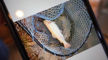 フィッシングレイクたかみや 釣果