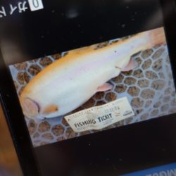フィッシングレイクたかみや 釣果
