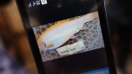 フィッシングレイクたかみや 釣果