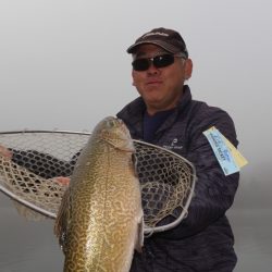 フィッシングレイクたかみや 釣果