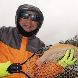 フィッシングレイクたかみや 釣果