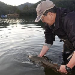 フィッシングレイクたかみや 釣果