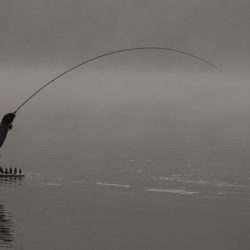 フィッシングレイクたかみや 釣果