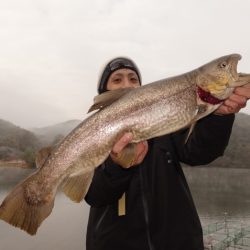 フィッシングレイクたかみや 釣果