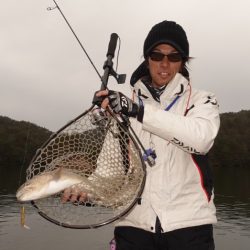 フィッシングレイクたかみや 釣果