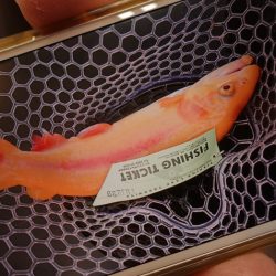 フィッシングレイクたかみや 釣果