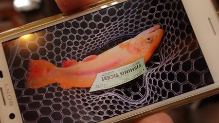 フィッシングレイクたかみや 釣果