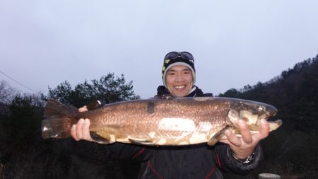 フィッシングレイクたかみや 釣果