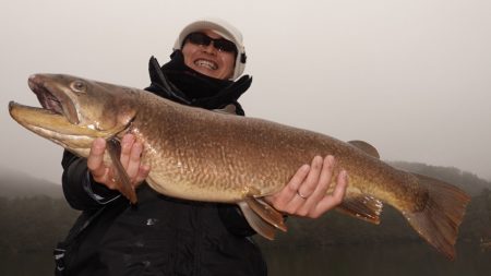 フィッシングレイクたかみや 釣果