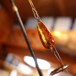 フィッシングレイクたかみや 釣果