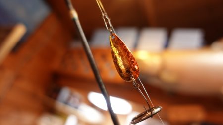 フィッシングレイクたかみや 釣果