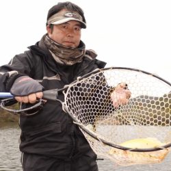 フィッシングレイクたかみや 釣果