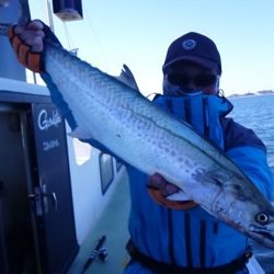 さわ浦丸 釣果