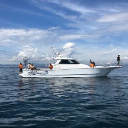 フィッシングボートACE(エース) 釣果