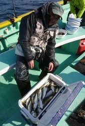 KONAYAーMARU(こなや丸) 釣果