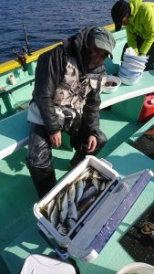 ＫＯＮＡＹＡｰＭＡＲＵ（こなや丸） 釣果