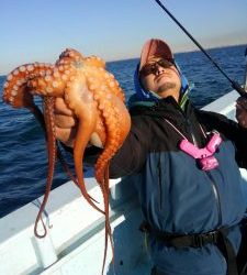 東京湾探釣隊ぼっち 釣果