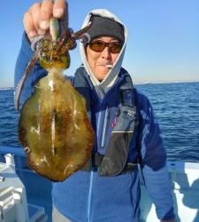 東京湾探釣隊ぼっち 釣果