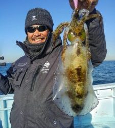 東京湾探釣隊ぼっち 釣果