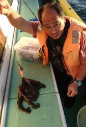 KONAYAーMARU(こなや丸) 釣果