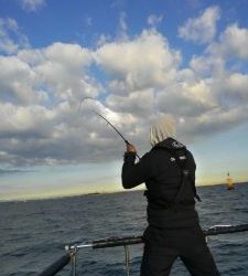 東京湾探釣隊ぼっち 釣果