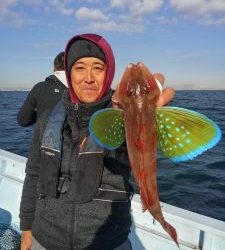 東京湾探釣隊ぼっち 釣果