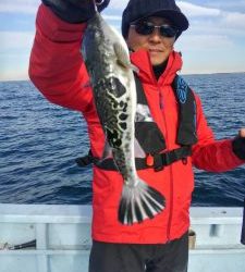 東京湾探釣隊ぼっち 釣果