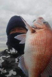 東京湾探釣隊ぼっち 釣果