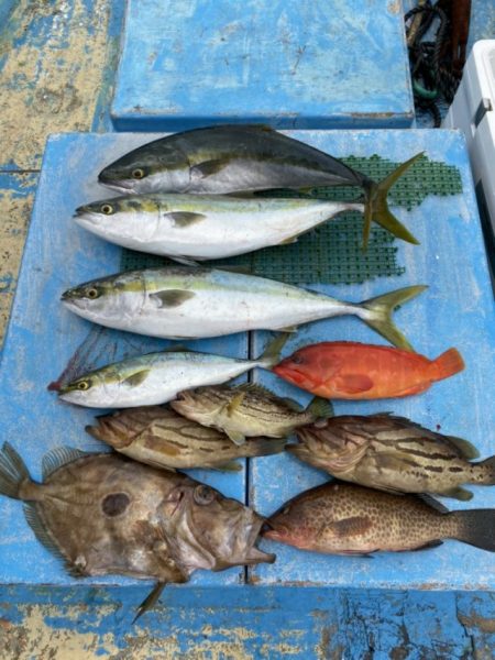 太幸丸 釣果