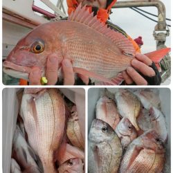 第三隆栄丸 釣果